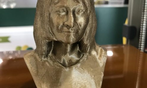 Buste 3D printen
